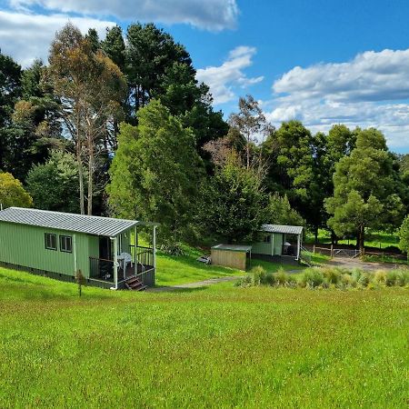 Cozy Otways Accommodation Beech Forest Buitenkant foto