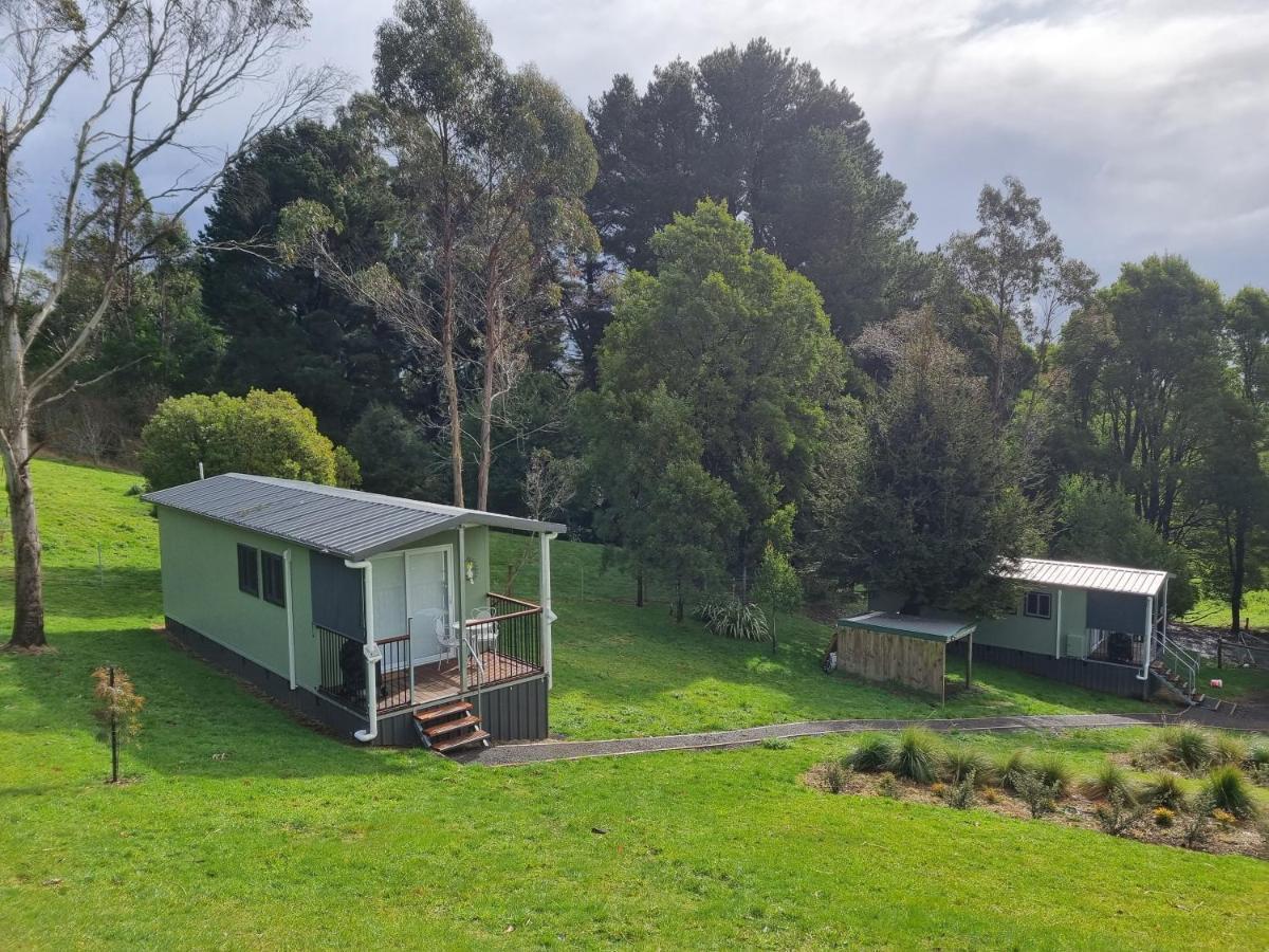 Cozy Otways Accommodation Beech Forest Buitenkant foto