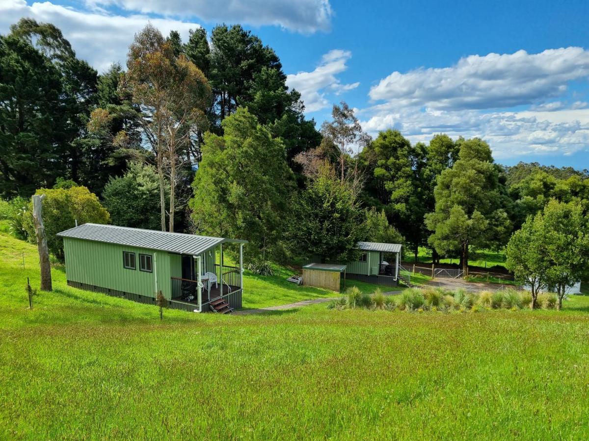 Cozy Otways Accommodation Beech Forest Buitenkant foto